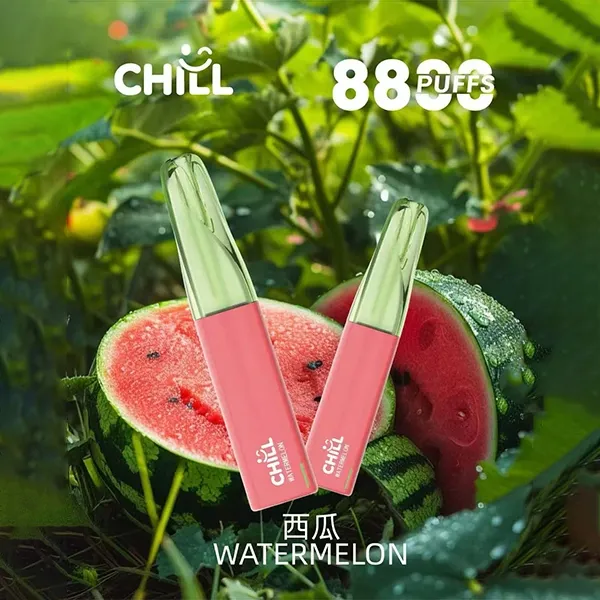 鴨嘴獸拋棄式電子煙8800口 西瓜